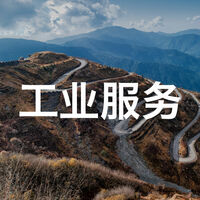 China Consulting - Industrial Services